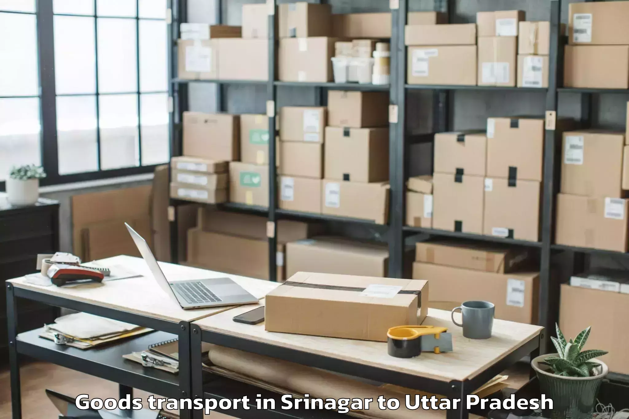 Efficient Srinagar to Bundelkhand University Jhansi Goods Transport